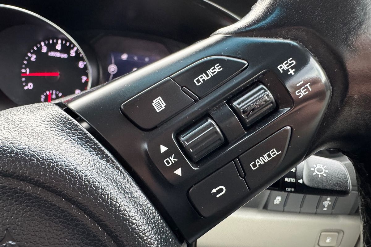 2015 Kia Carnival Platinum YP