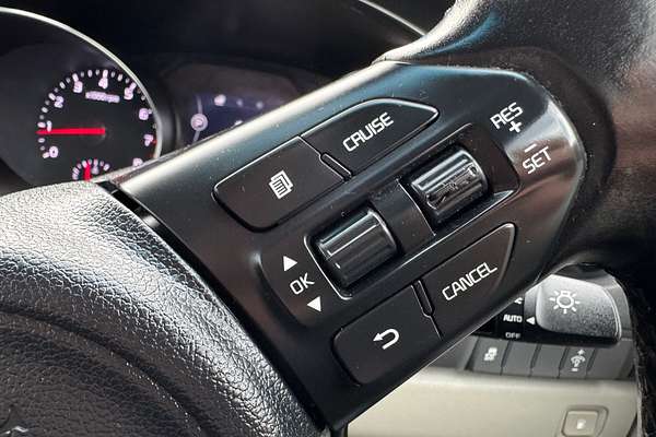 2015 Kia Carnival Platinum YP