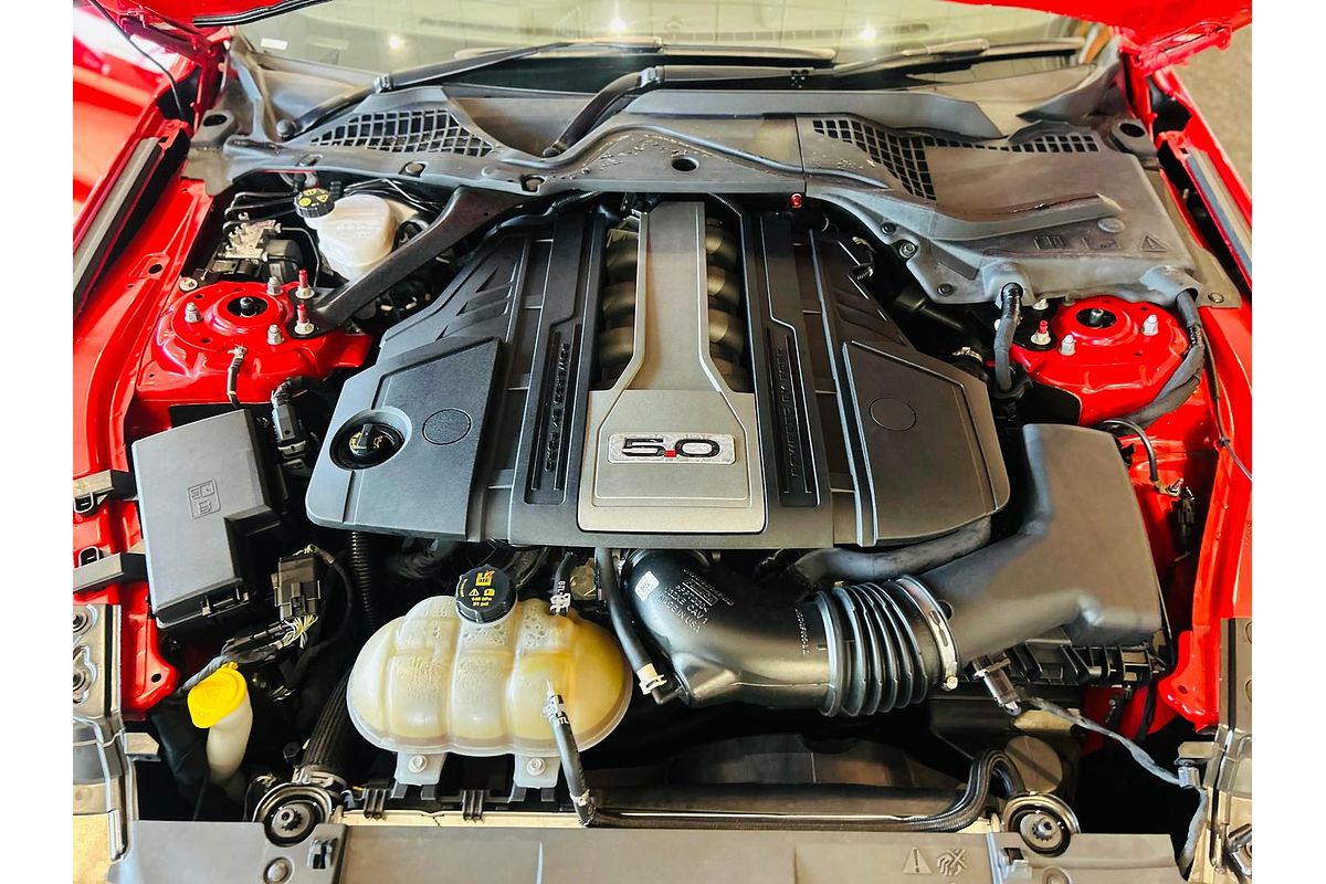 2019 Ford Mustang GT FN