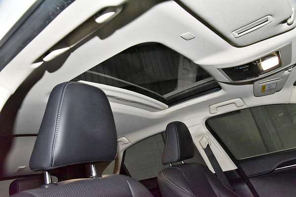2020 Lexus NX NX300 Sports Luxury AGZ15R