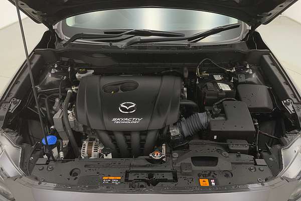 2023 Toyota RAV4 Cruiser AXAH54R