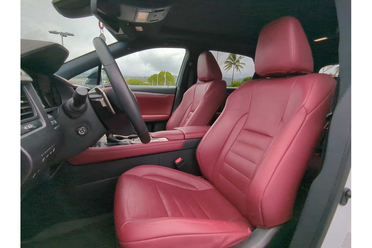 2019 Lexus RX F SPORT