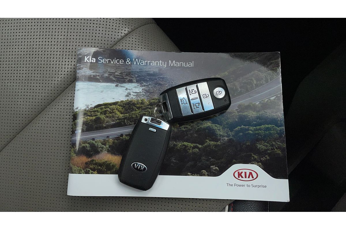 2018 Kia Carnival Platinum YP