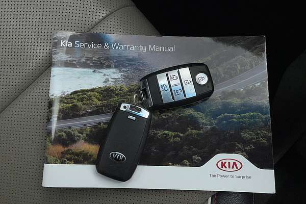 2018 Kia Carnival Platinum YP