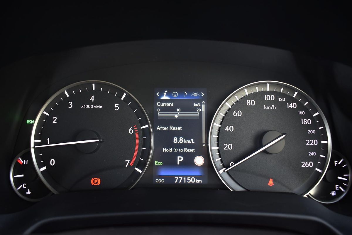2020 Lexus RX RX300 Luxury AGL20R