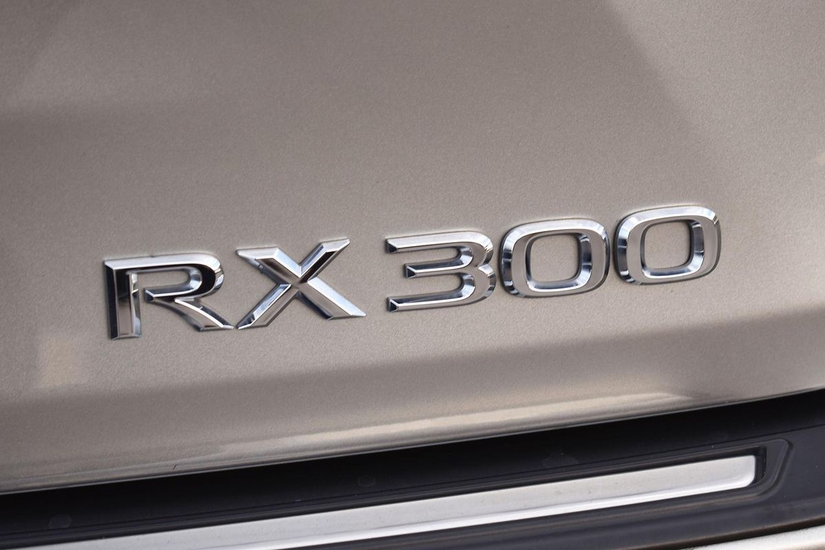 2020 Lexus RX RX300 Luxury AGL20R