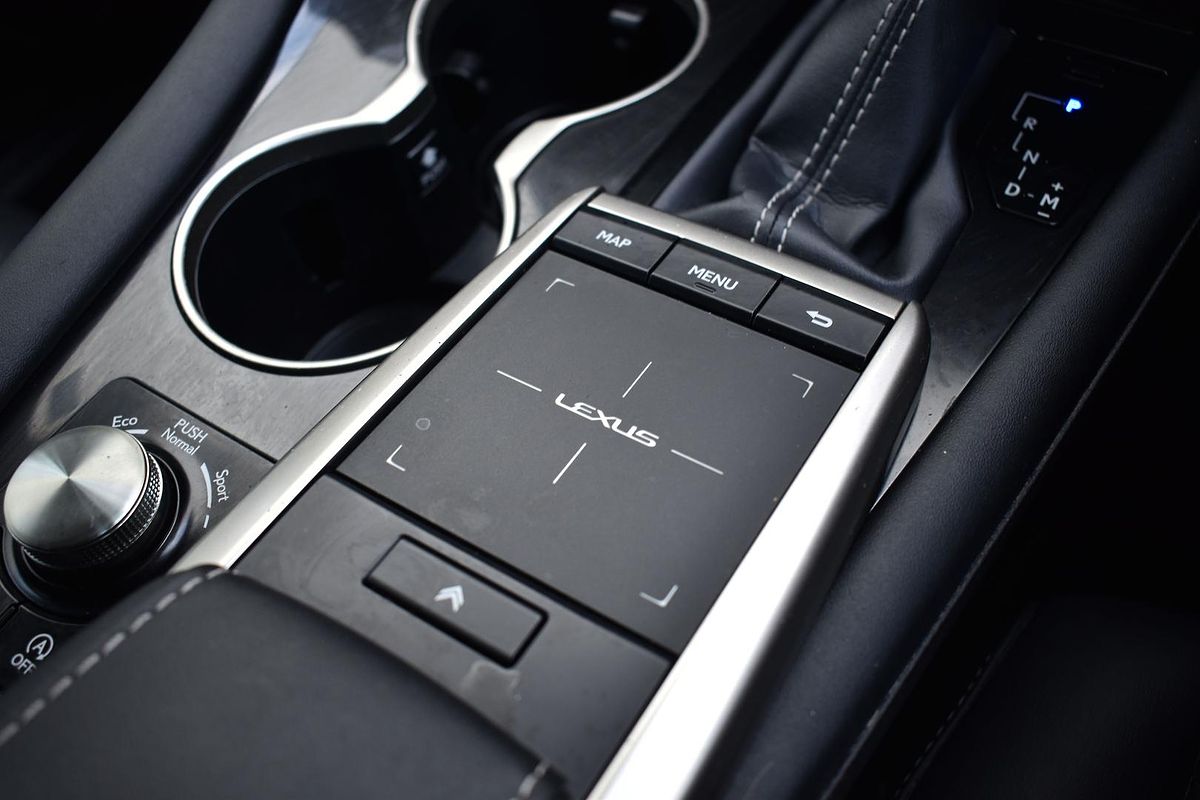 2020 Lexus RX RX300 Luxury AGL20R