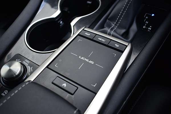 2020 Lexus RX RX300 Luxury AGL20R