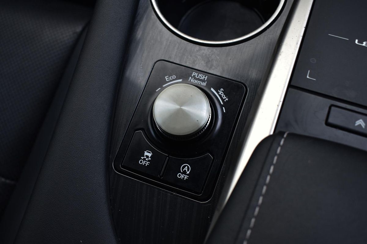 2020 Lexus RX RX300 Luxury AGL20R