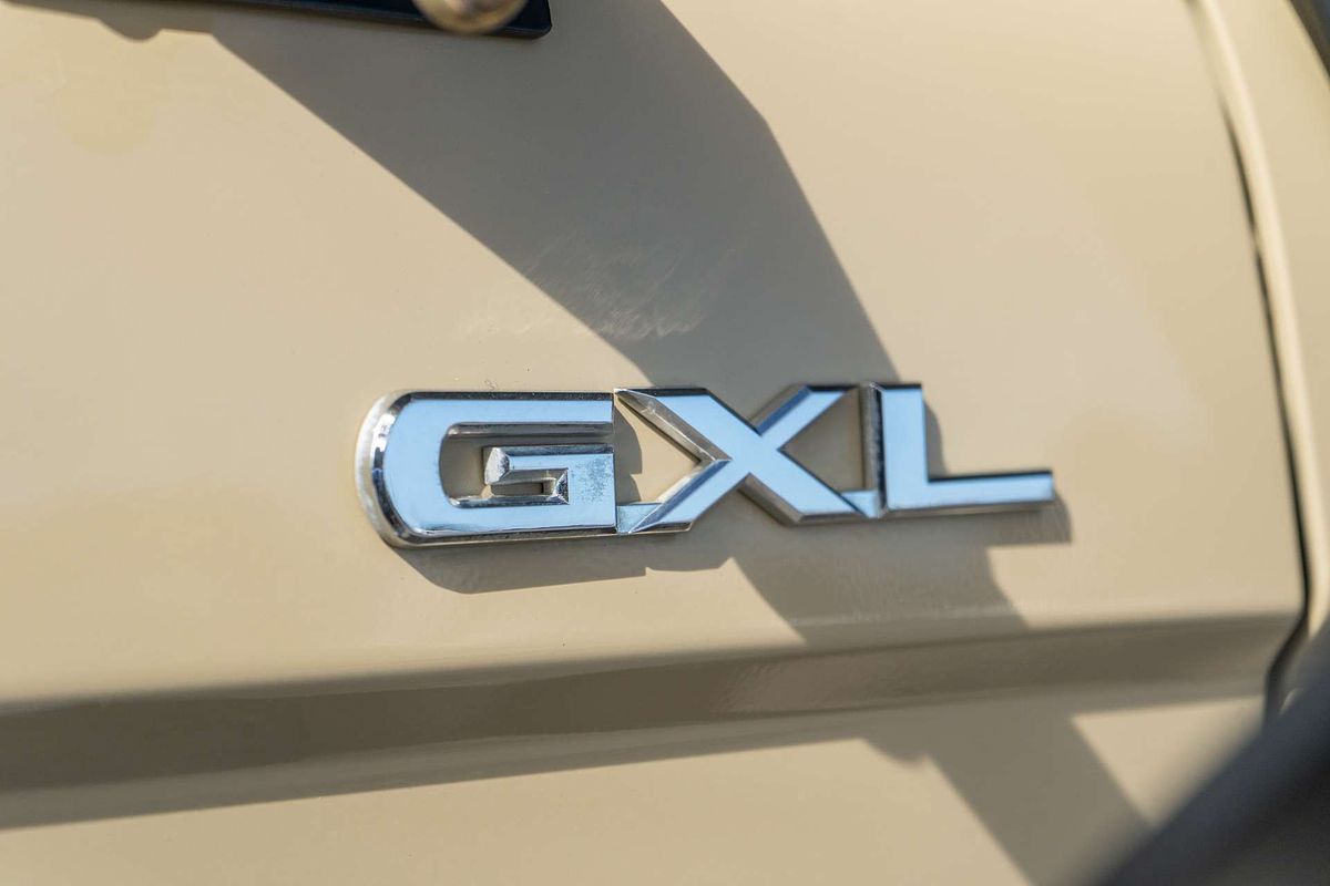 2020 Toyota Landcruiser GXL VDJ79R 4X4