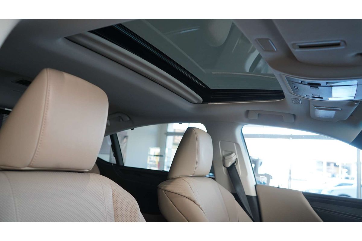2019 Lexus ES ES300h Sports Luxury AXZH10R