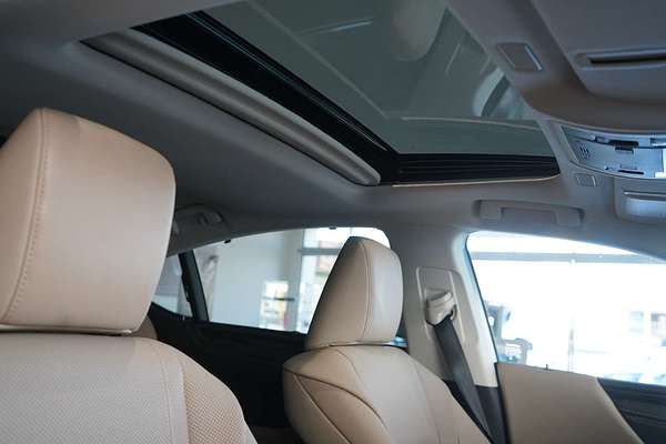 2019 Lexus ES ES300h Sports Luxury AXZH10R