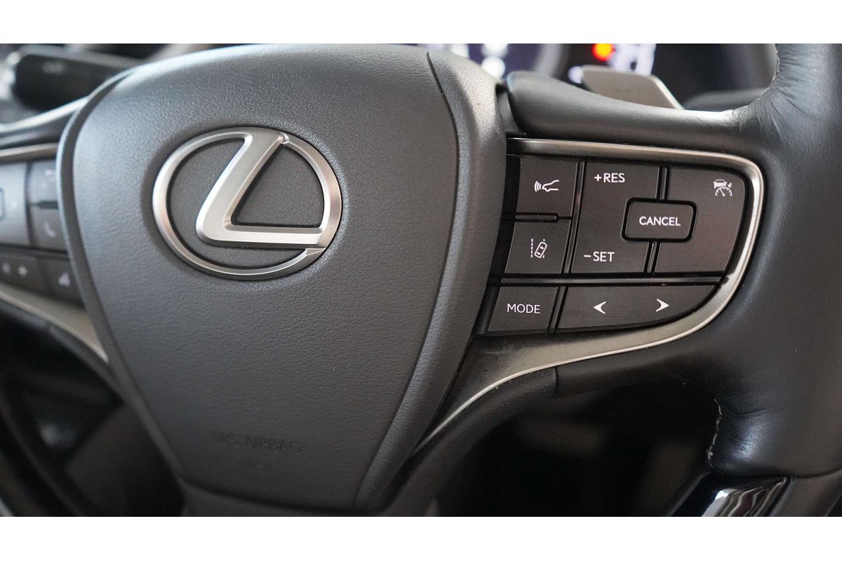 2019 Lexus ES ES300h Sports Luxury AXZH10R