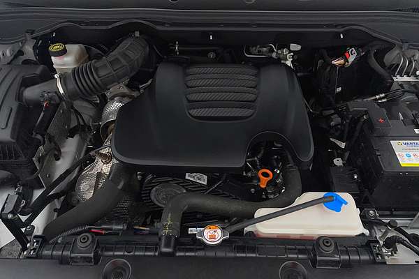 2022 GWM Ute Cannon NPW 4X4