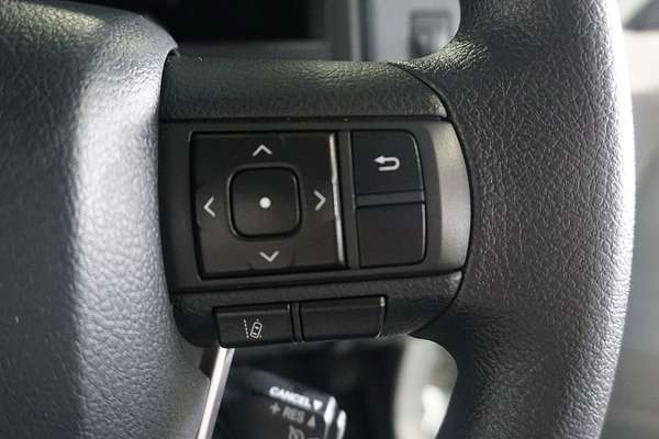 2025 Toyota Landcruiser GXL VDJL79R 4X4