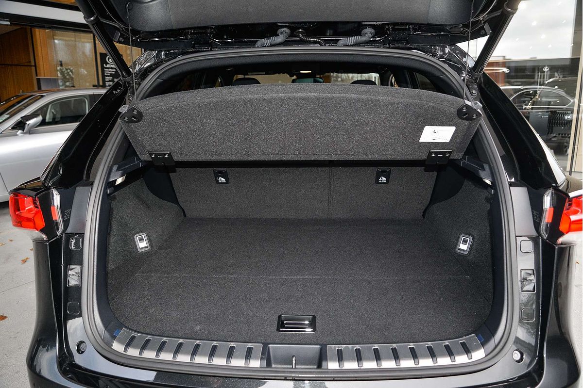2021 Lexus NX NX300h F Sport AYZ10R