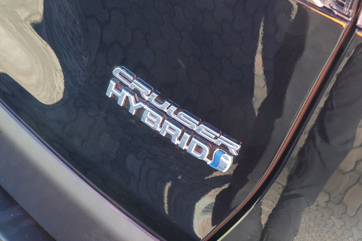 2019 Toyota RAV4 Cruiser AXAH52R