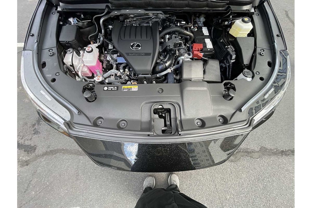 2024 Lexus RX Premium