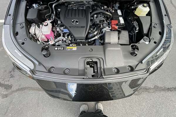 2024 Lexus RX Premium