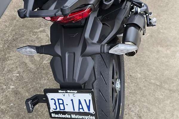 2025 Ducati Multistrada V4 Pikes Peak Multistrada