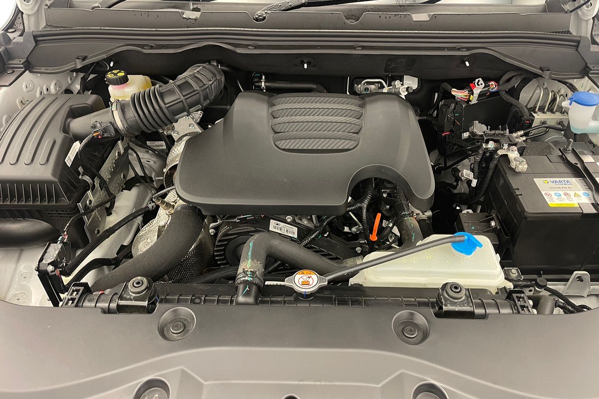 2024 GWM Ute Cannon NPW 4X4