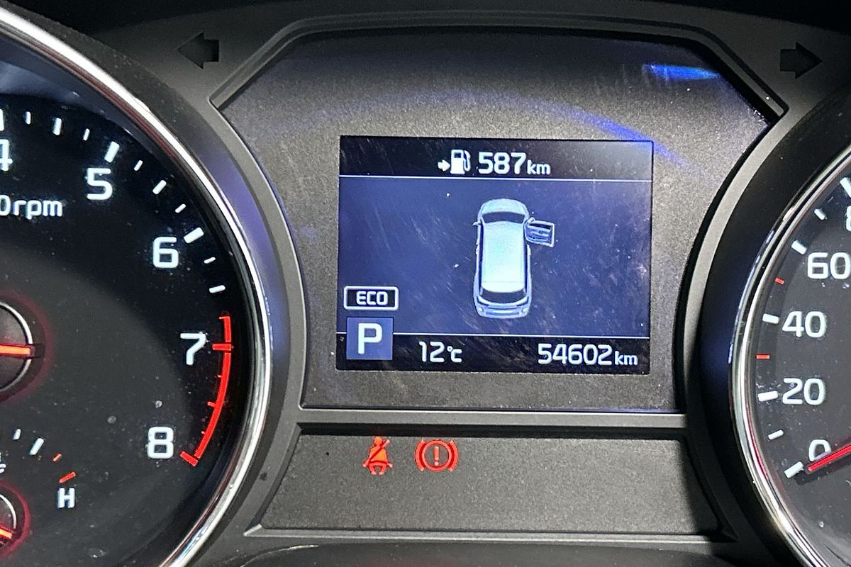 2019 Kia Carnival S YP