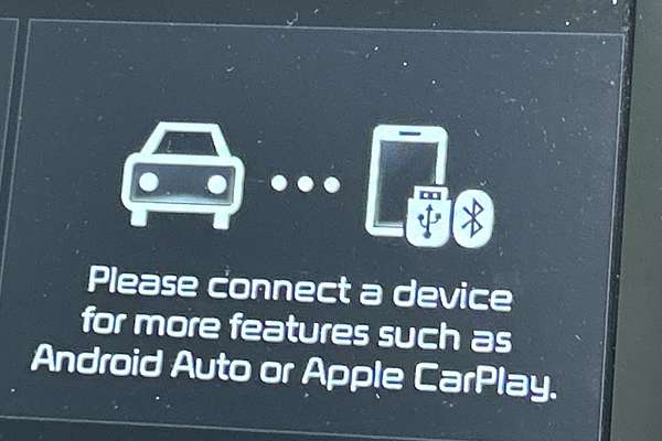 2019 Kia Carnival S YP