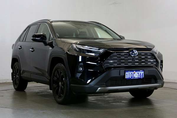 2024 Toyota RAV4 Cruiser AXAH54R