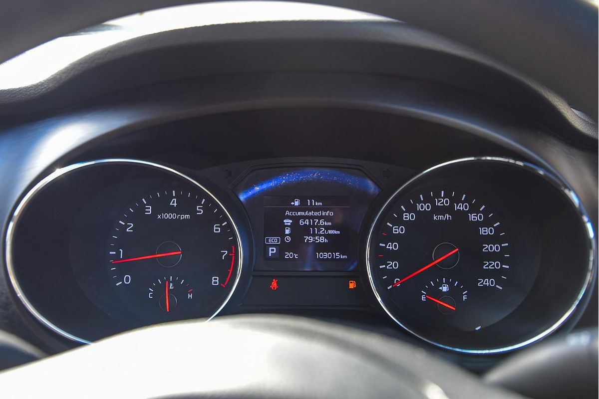 2019 Kia Carnival S YP