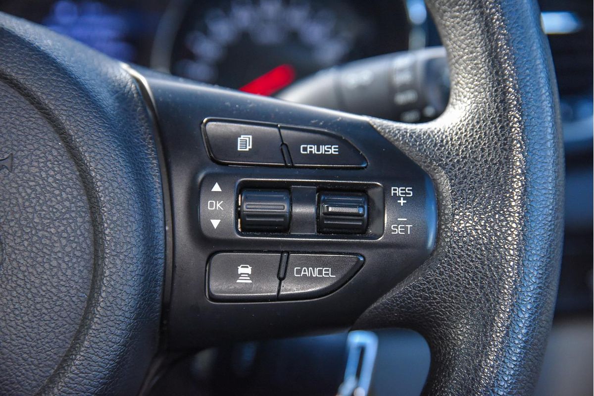 2019 Kia Carnival S YP