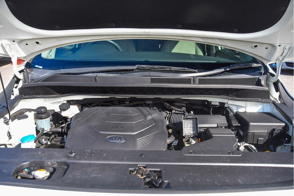 2019 Kia Carnival S YP