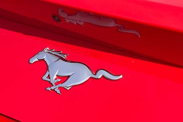 2024 Ford Mustang Ecoboost FO
