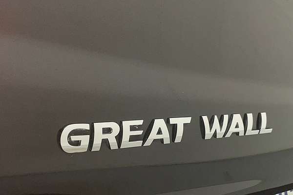 2019 Great Wall Steed NBP Rear Wheel Drive
