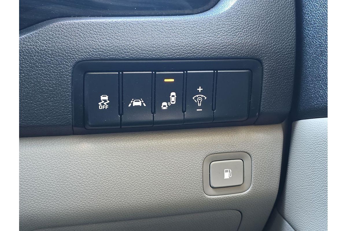 2019 Kia Carnival Platinum YP
