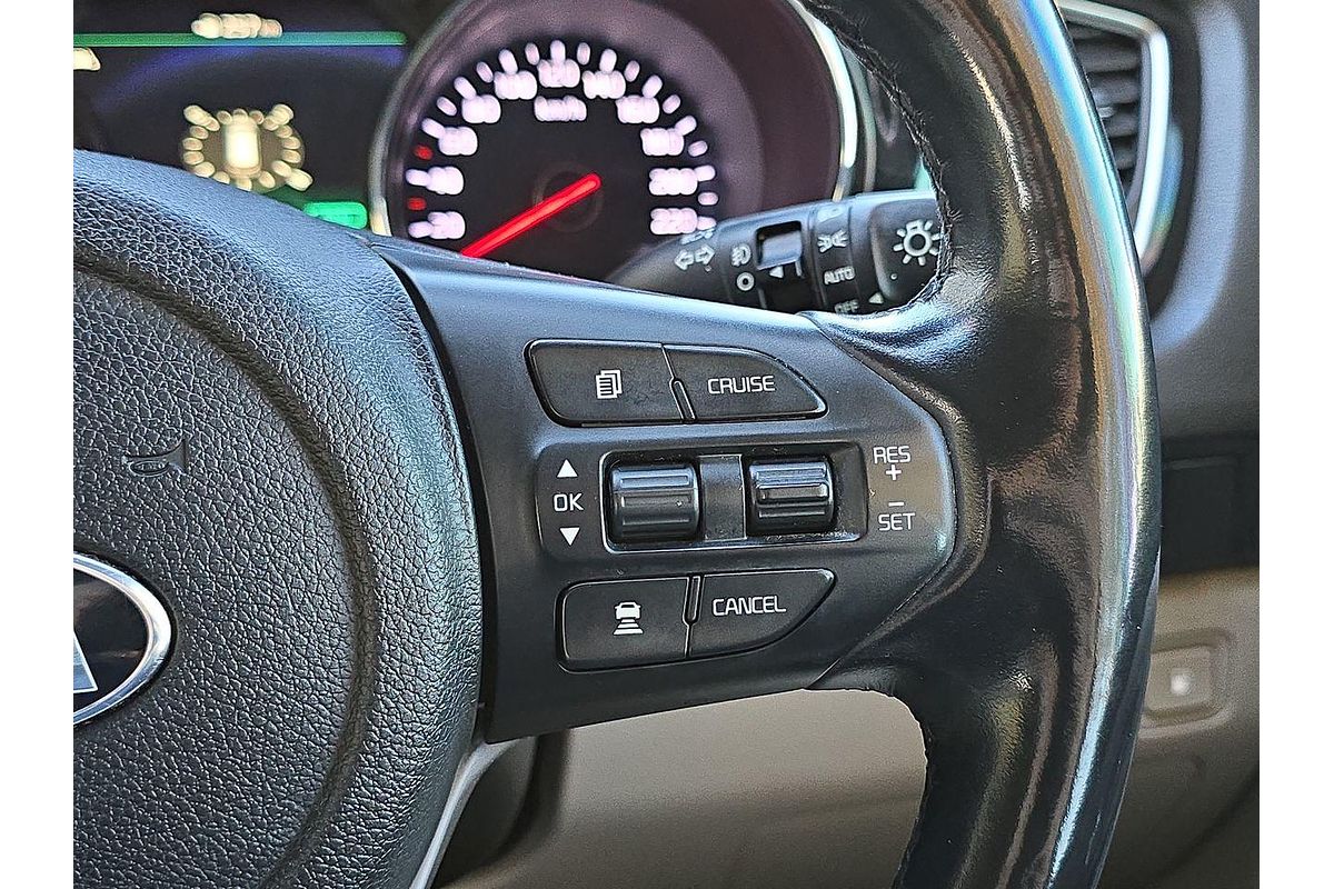 2019 Kia Carnival Platinum YP
