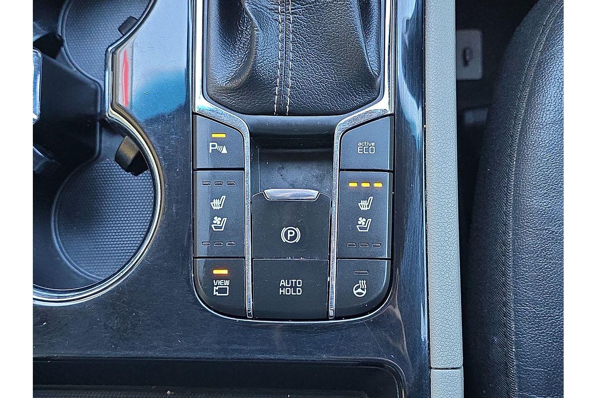 2019 Kia Carnival Platinum YP