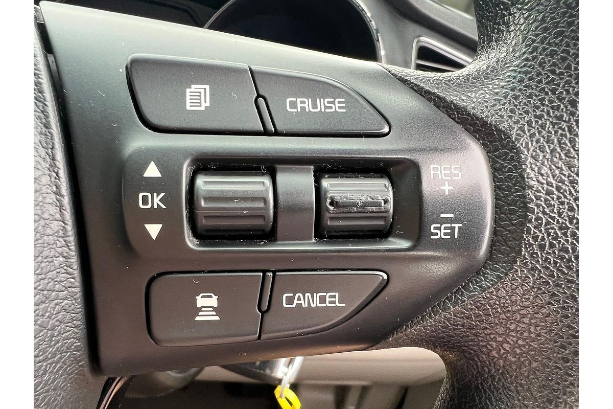 2018 Kia Carnival S YP