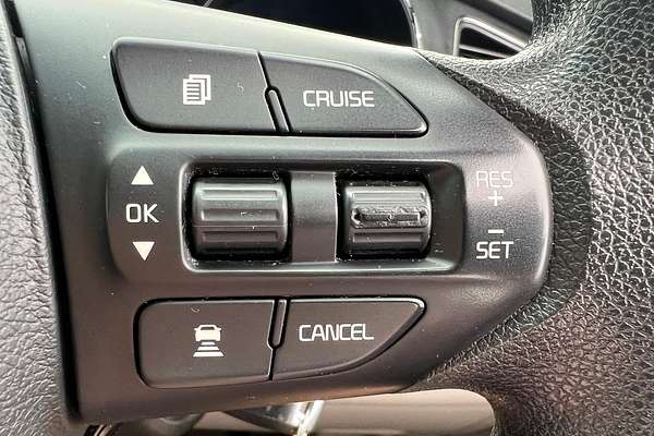 2018 Kia Carnival S YP