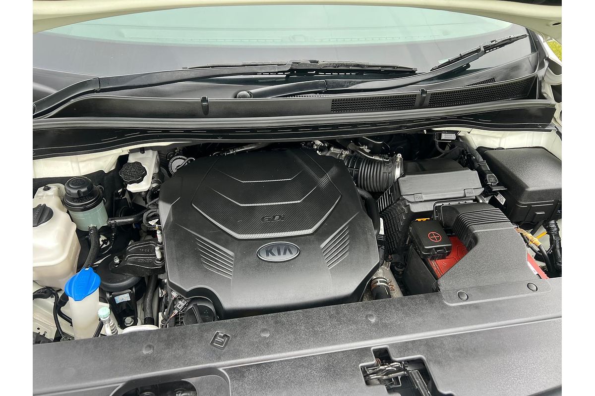2018 Kia Carnival S YP