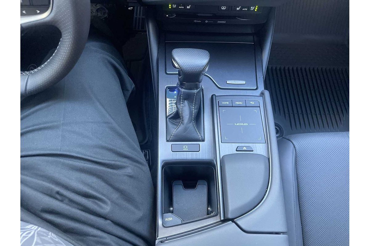 2022 Lexus ES F SPORT