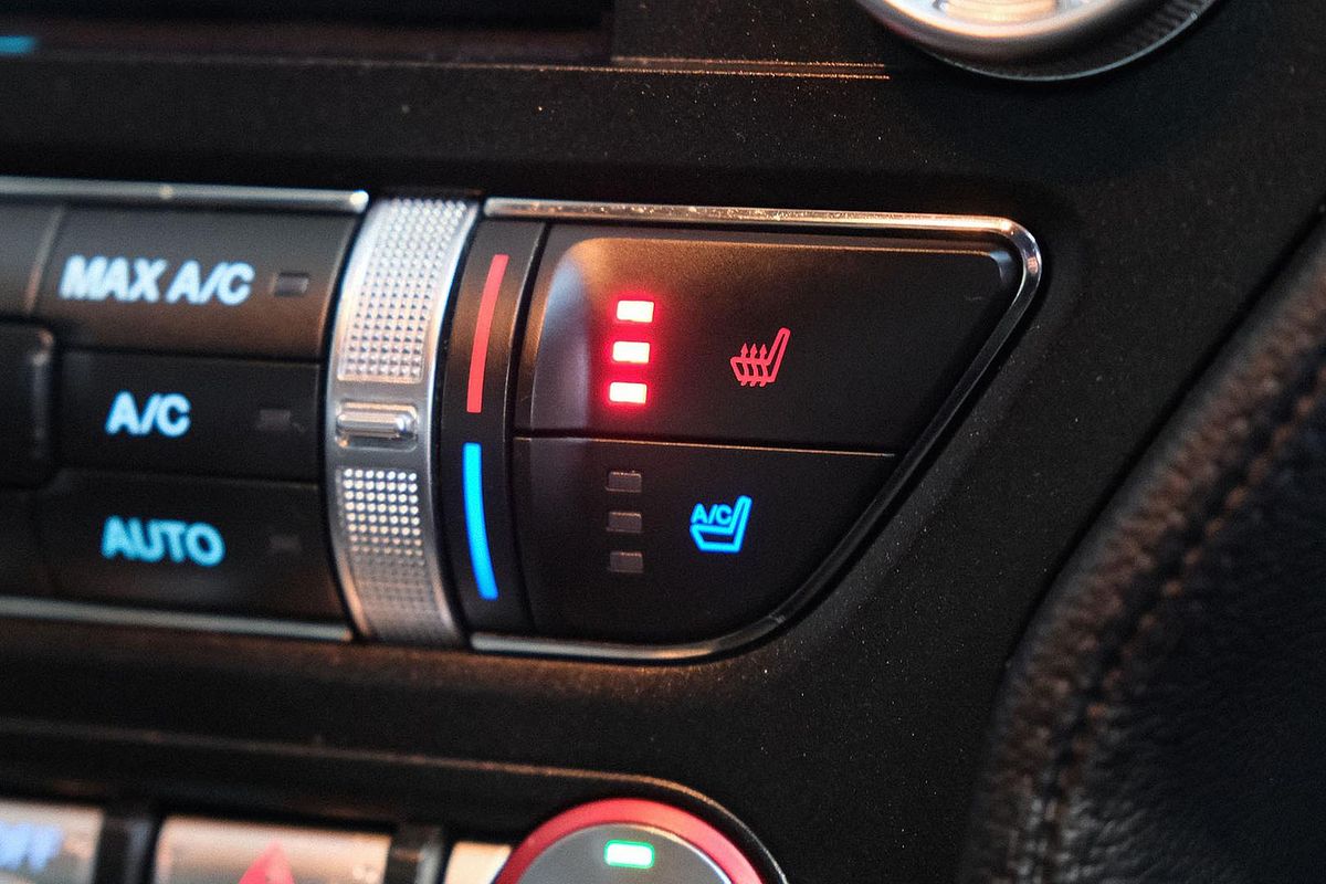 2021 Ford Mustang GT FN