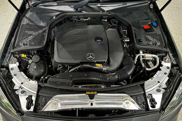 2019 Mercedes-Benz C-Class C300 C205
