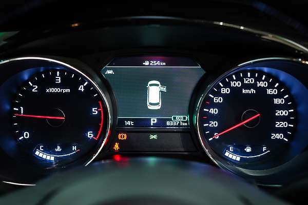 2019 Kia Carnival Platinum YP