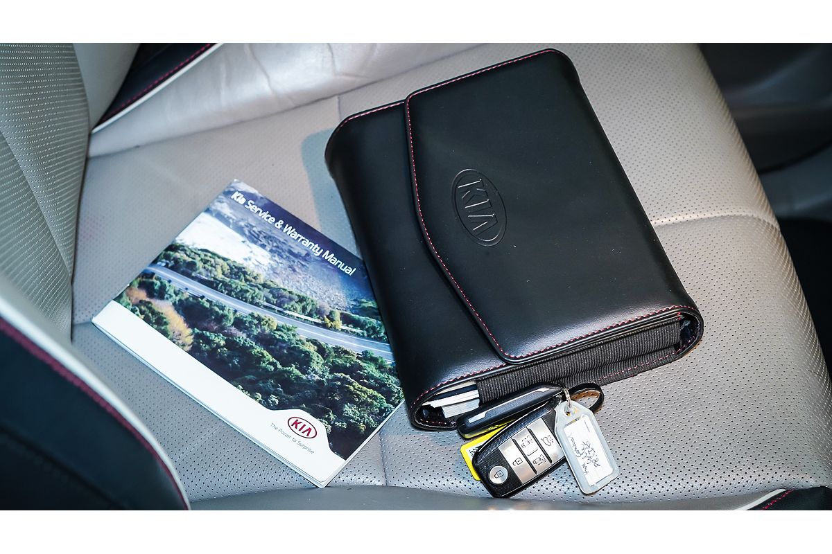 2019 Kia Carnival Platinum YP