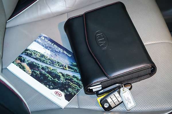 2019 Kia Carnival Platinum YP
