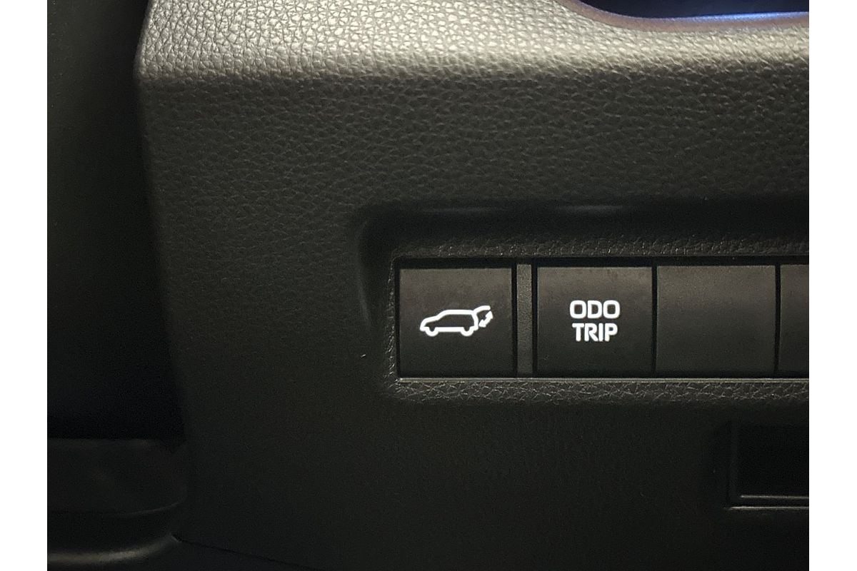2023 Toyota RAV4 Cruiser AXAH52R