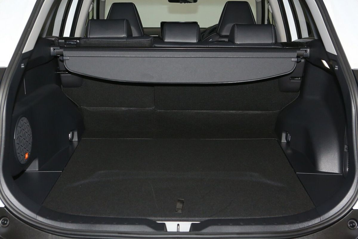 2024 Toyota RAV4 Cruiser AXAH54R