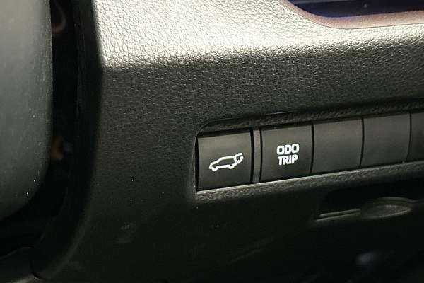 2024 Toyota RAV4 Cruiser AXAH54R