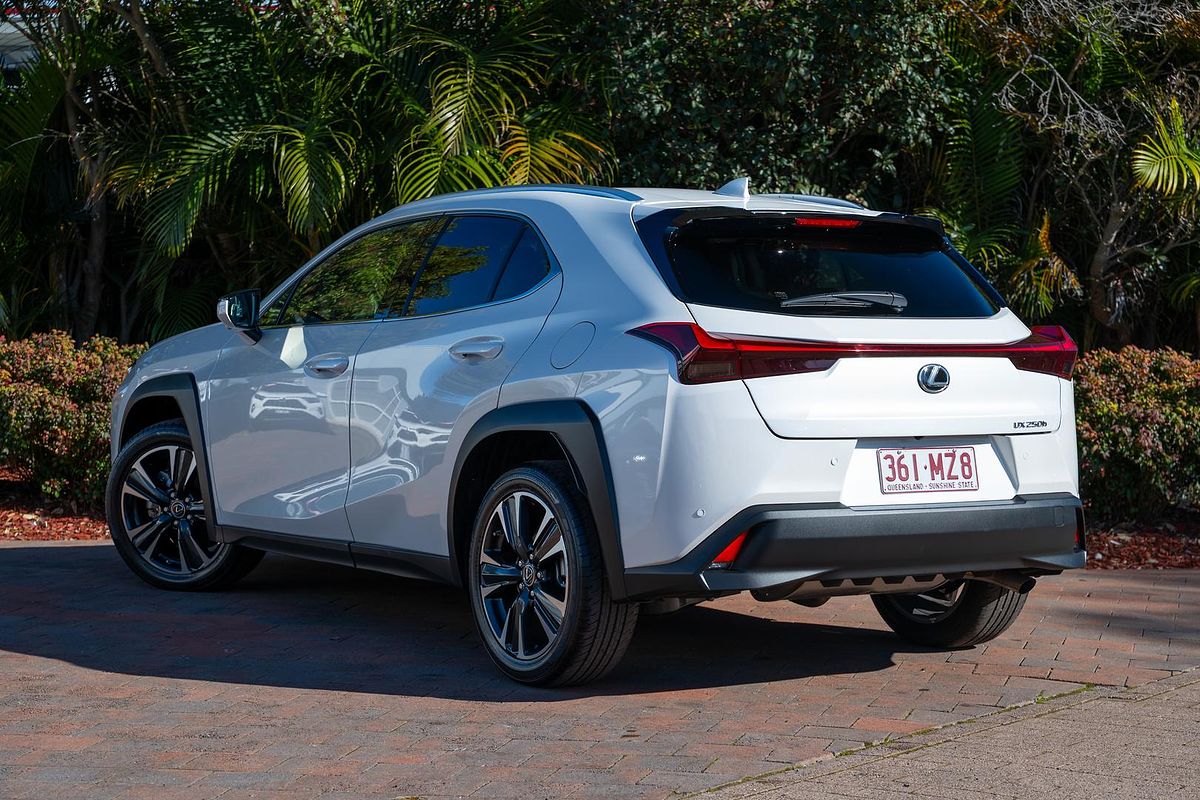 2024 Lexus UX UX250h Sport Luxury MZAH10R