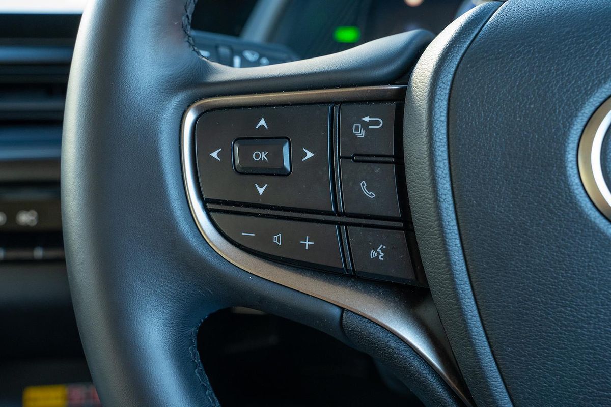 2024 Lexus UX UX250h Sport Luxury MZAH10R